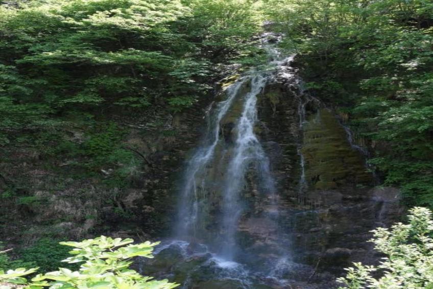 Bellavista - foto 35