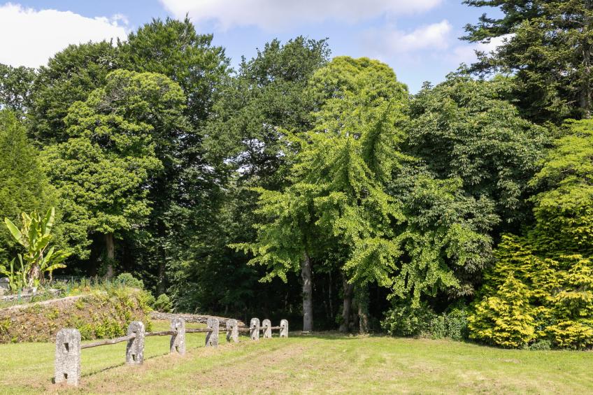 La Manoir du Moros - foto 32