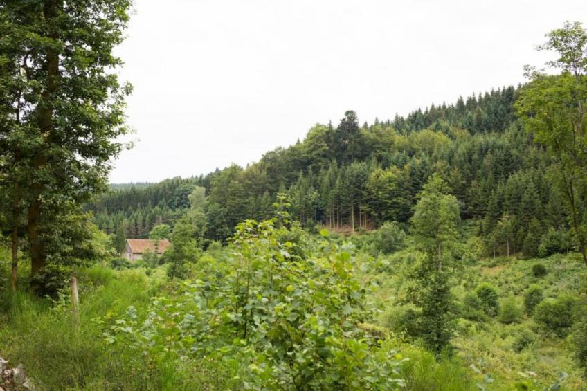 Domaine Des Messires 2 - foto 30