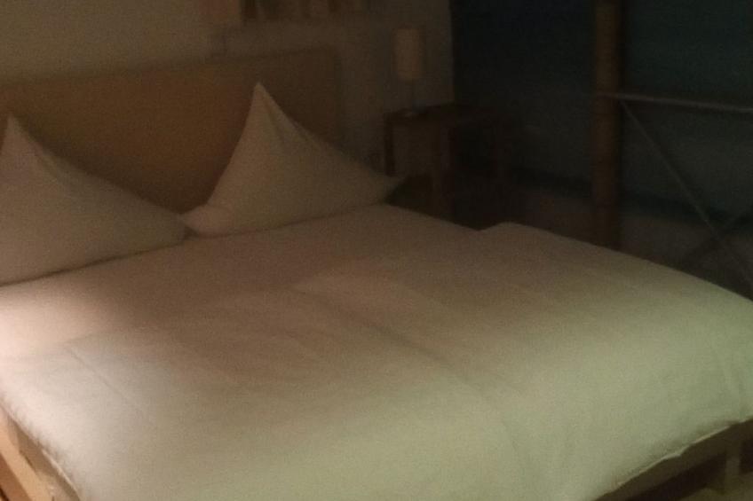 Urlaub am Feigenbaum in Nußloch - foto 4