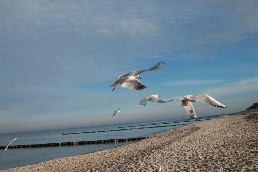 Admiral's Cor. Gulet - foto 28