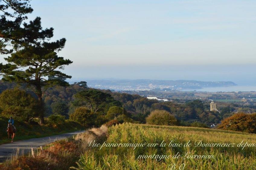 Ferienhaus - foto 47