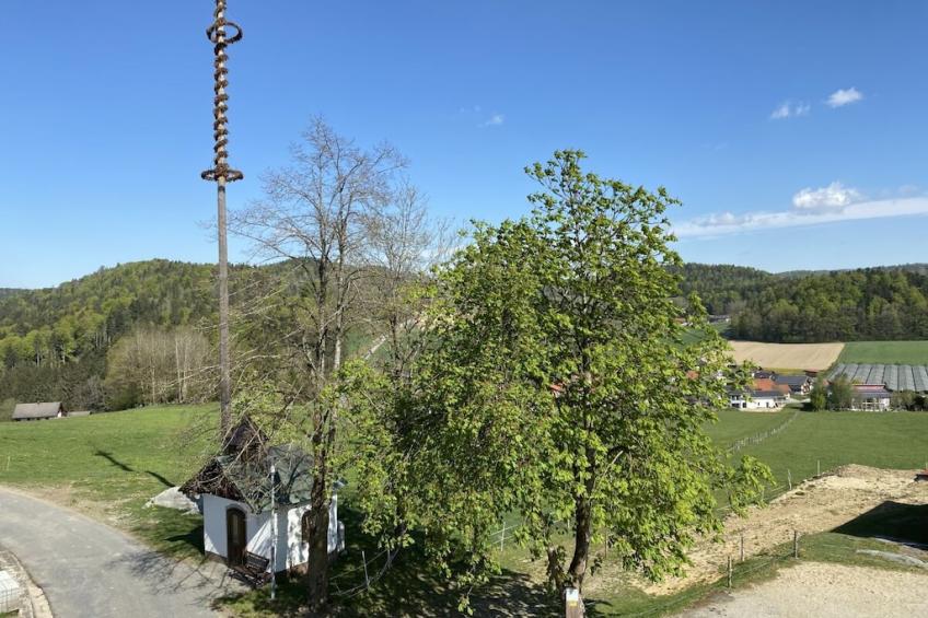 36139 - foto 11