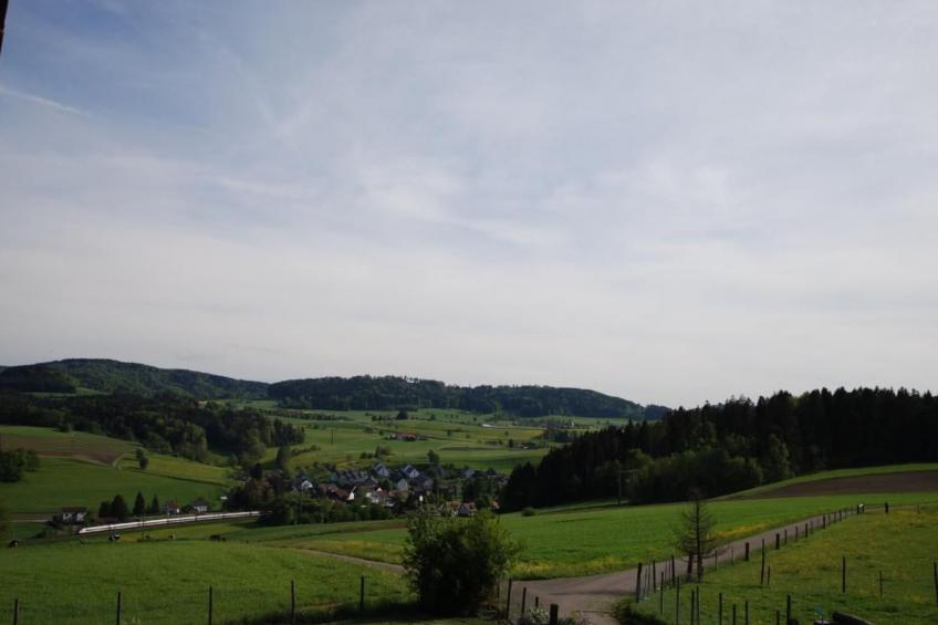 Summerhalde - foto 3