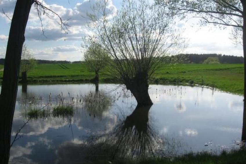 Brennerei Haselberg - foto 19