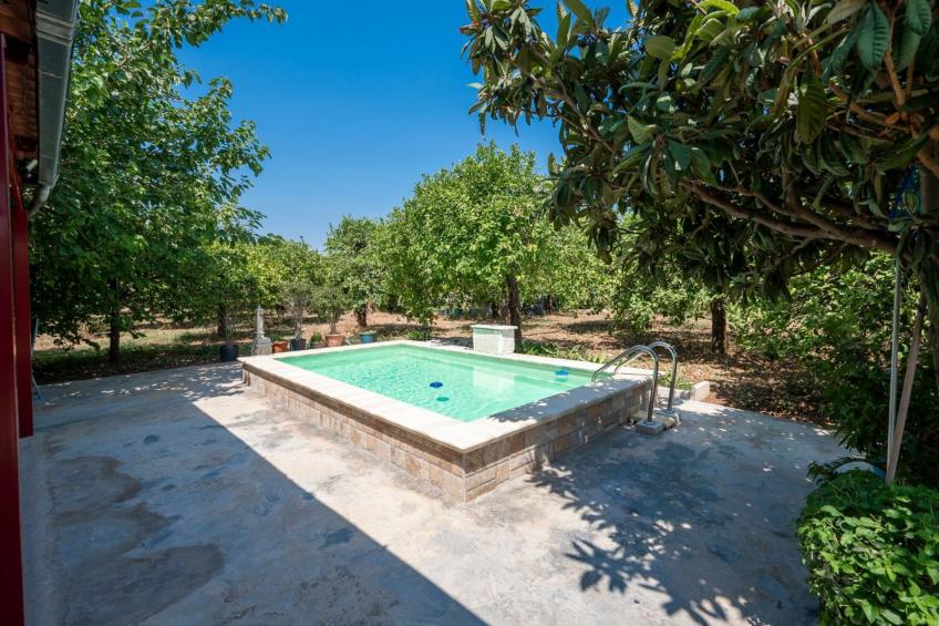 Der Zitronenhain von Nonno Corrado - foto 2