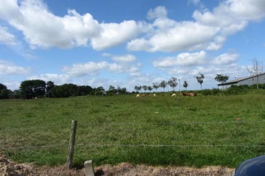 Sonnige Ferienwohnung in ländlicher Umgebung - foto 16