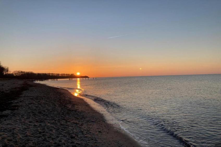 Ferienwohnung Albatross - strandnaher Urlaub Ostseebad Rerik - foto 24