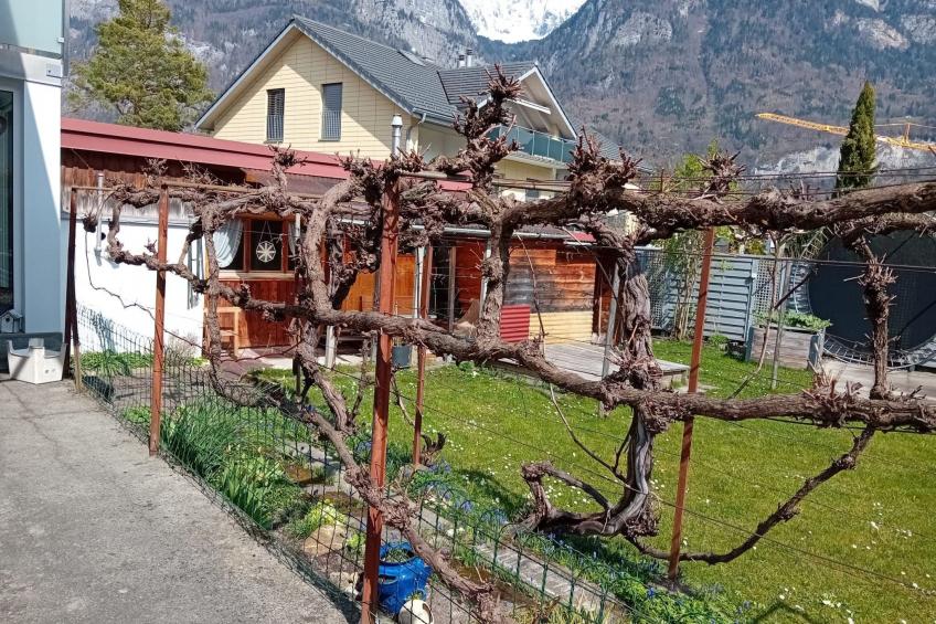 Sunnähöggli - foto 18