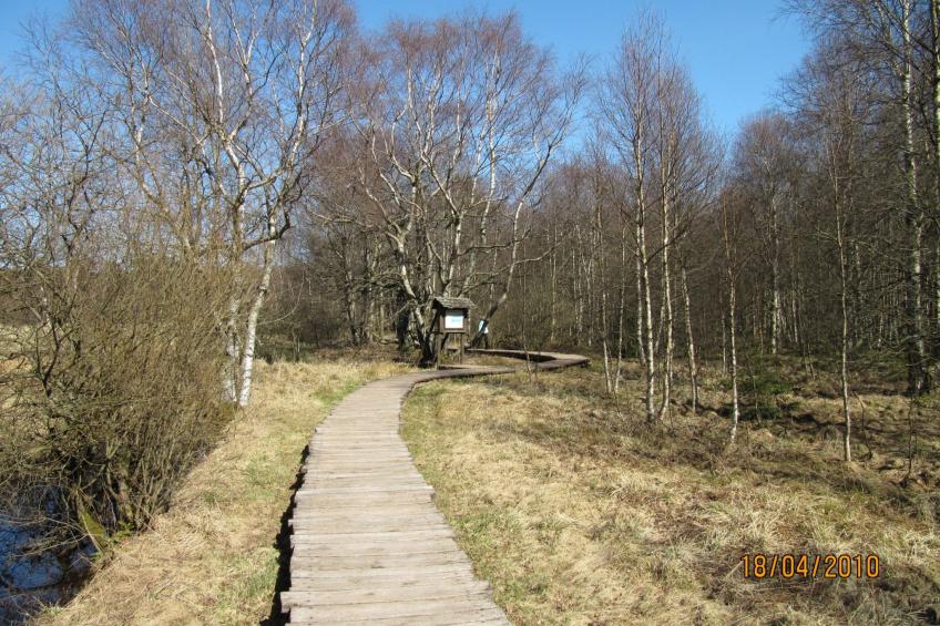 Tolle Wohnung in Hilders mit Eigenem Balkon - foto 31