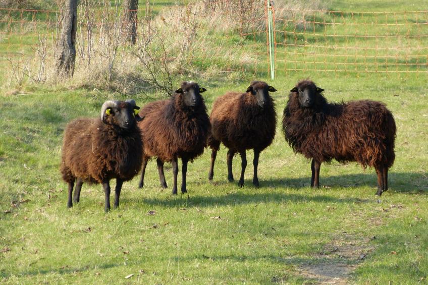 Moderne Wohnung mit Parkplatz und Rheinblick - foto 87