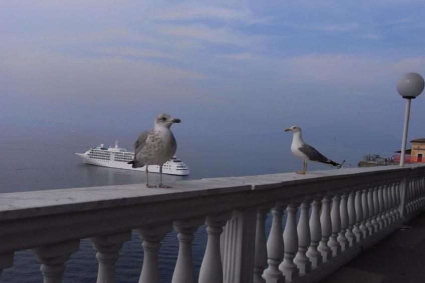 Rosa' Wohnung mit privatem Garten - foto 15