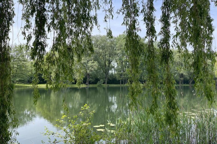 Ranger Lodge 6 pax - foto 7