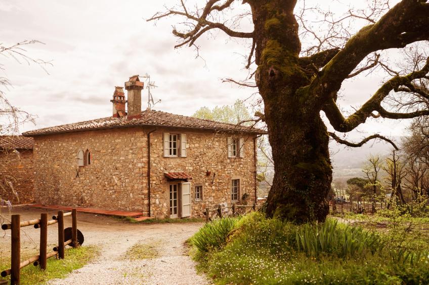 Agriturismo Tenuta Seriole - foto 8