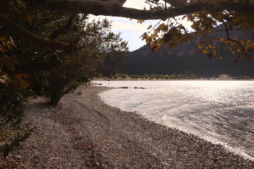 Spiti Louloudia - foto 36