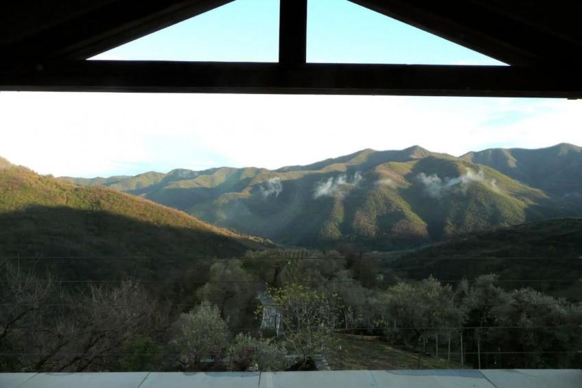 CASA SISSI, Sehnsuchtsort zwischen Olivenhainen - foto 7