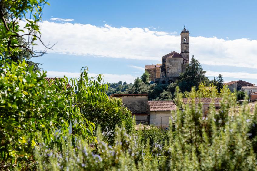 Gartenwohnung - foto 22