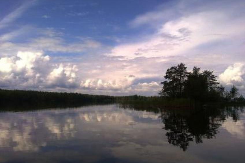 Elsanranta - foto 10