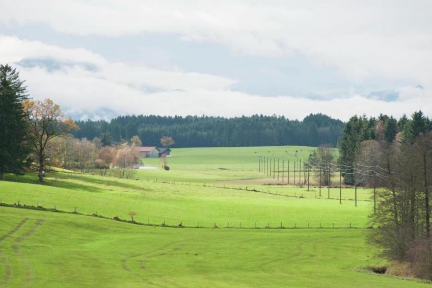 Steingaden - foto 27