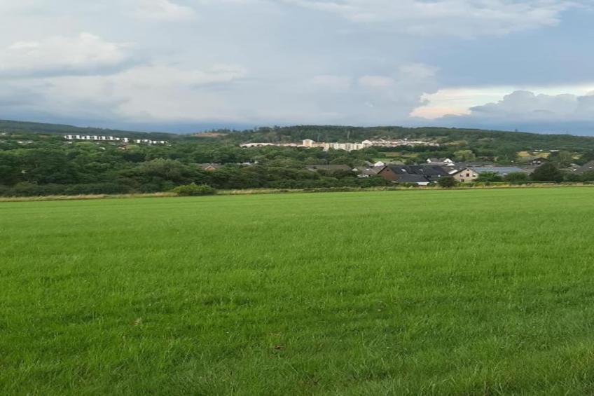 Grabenhaus - foto 37