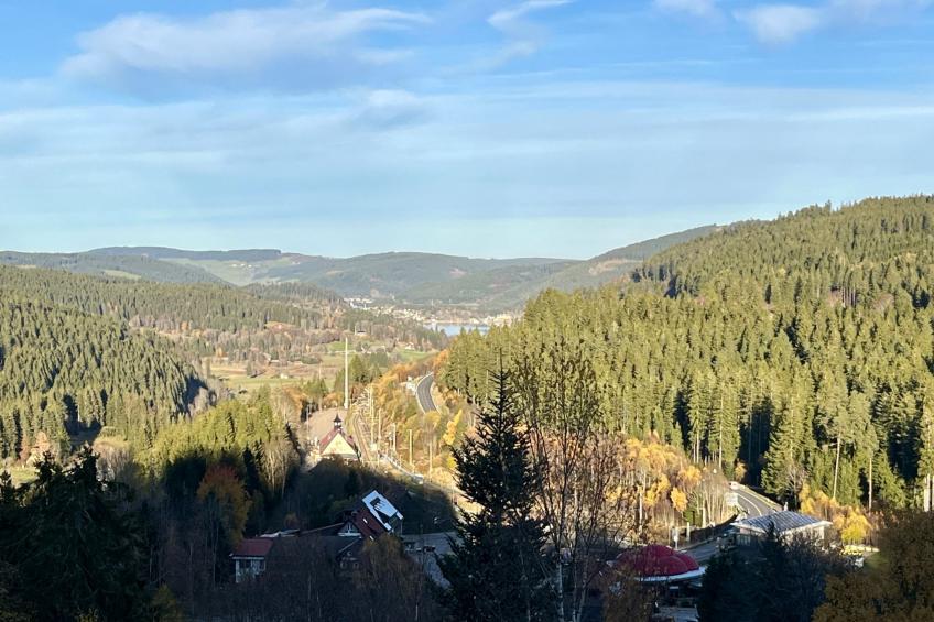 Falkennest - mit Blick auf den Titisee - foto 7