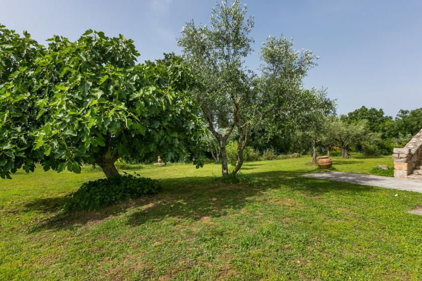 Antico Casale Il Piccione (PIL100) - foto 28