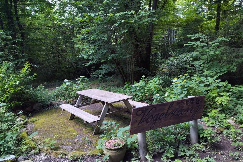 Chalet Vogelzang - Domaine des Nobertins - foto 22