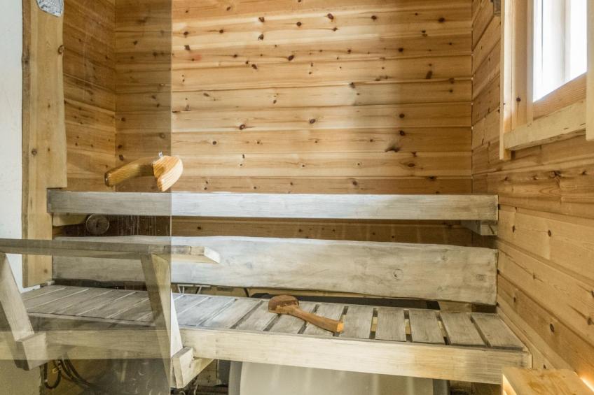 Pikkupöllö - foto 11