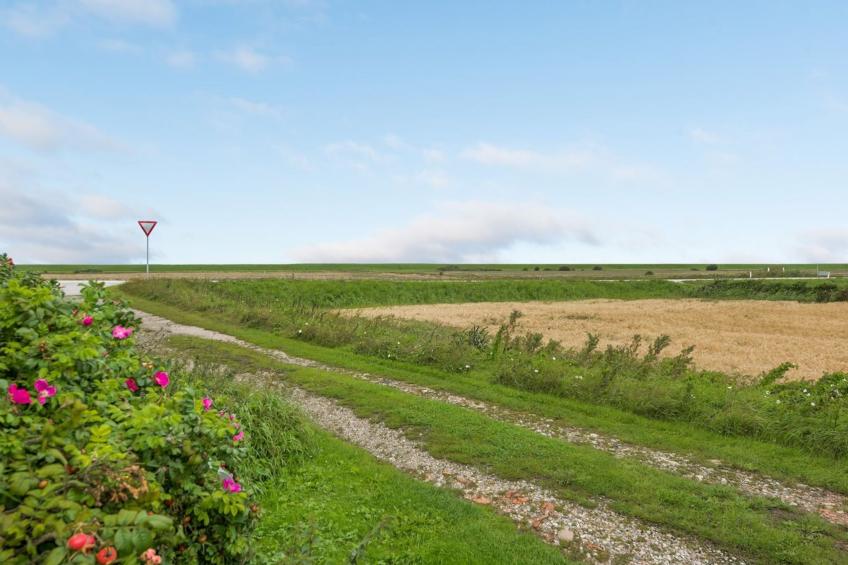 "Clausina" - 600m from the sea in Western Jutland - foto 29