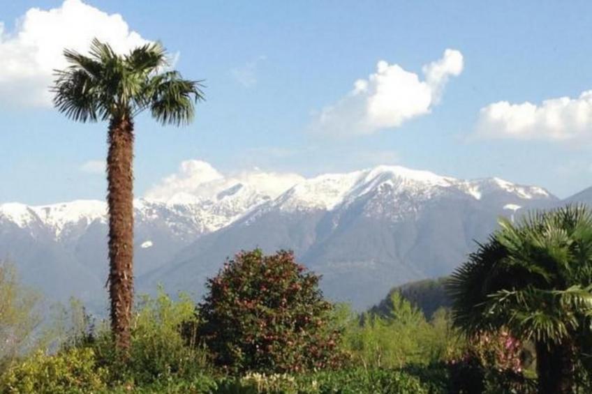 Casa Elena - foto 13