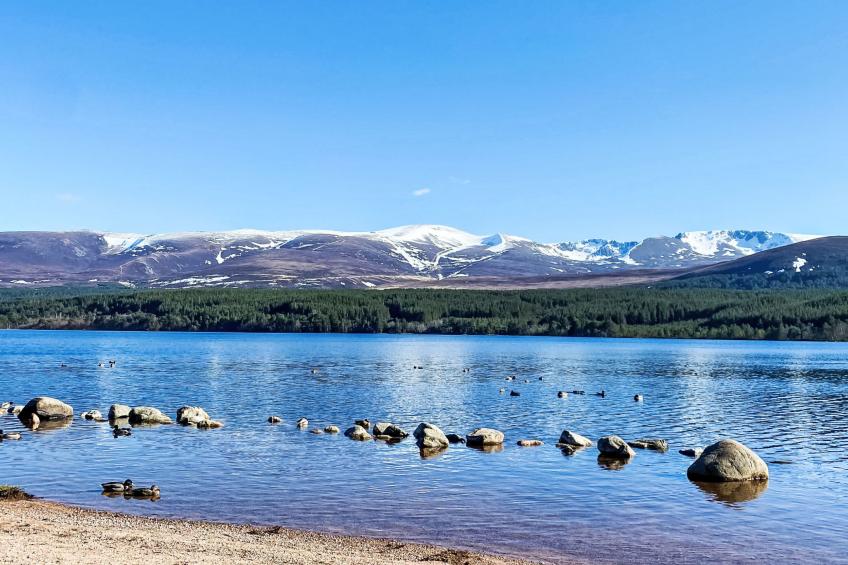 Falcon Lodge - foto 31