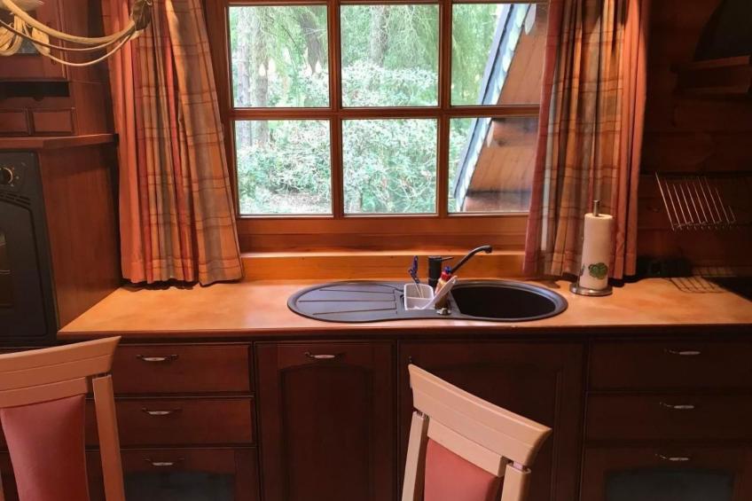 WaldhausEichhörnchen - foto 7