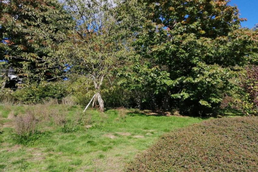 Le Grand Moulin de Denée - foto 30