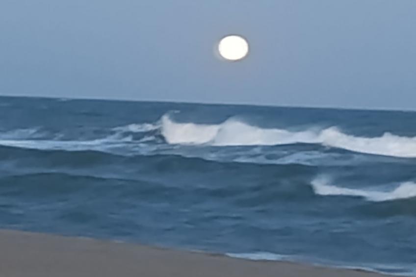 National Park View - foto 31