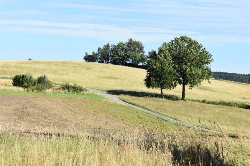 FeWo Siebert - foto 22