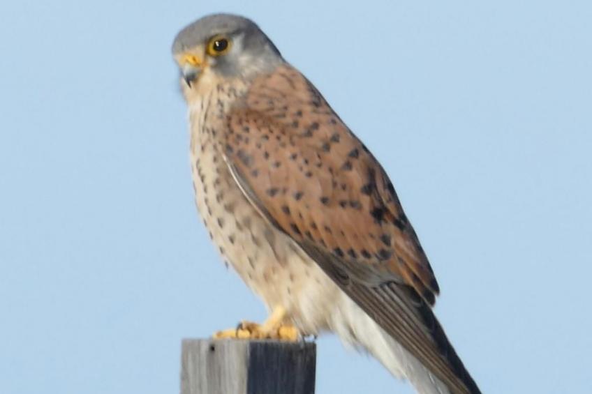 Haus La Majada - foto 26