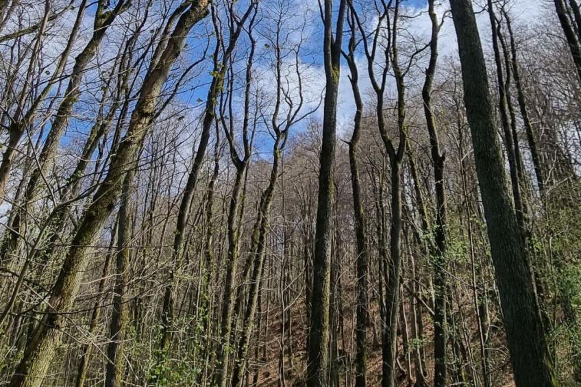 Lublewo21 Ferienhäuser - foto 30