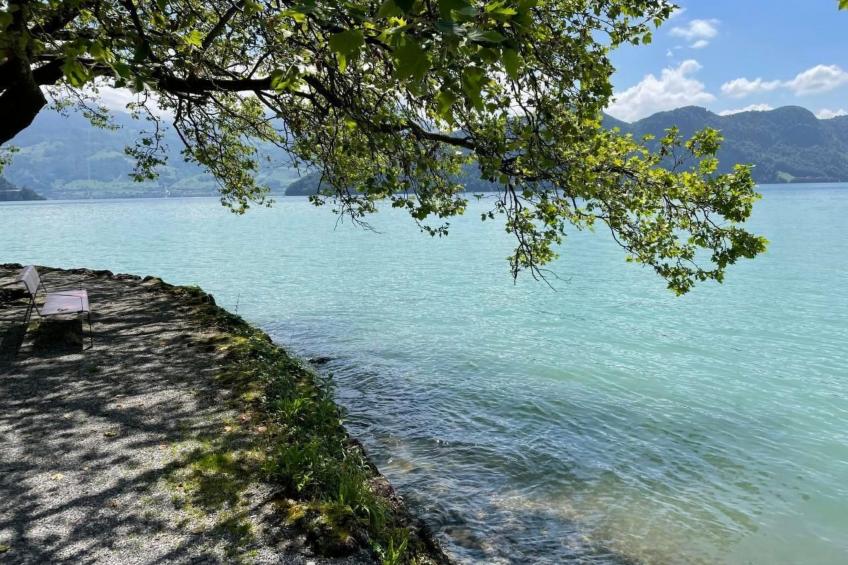 Traumstrand Vitznau - foto 18