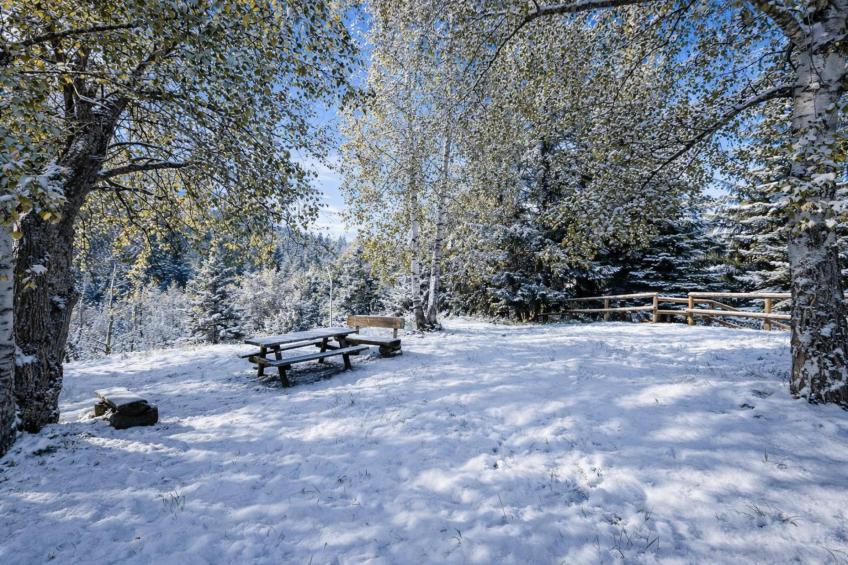 Appartamento la Cerbiatta - foto 15