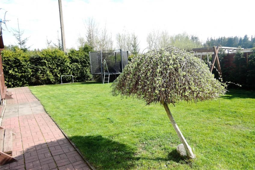 Cisza i spokój - domek dla 4 osób - foto 20