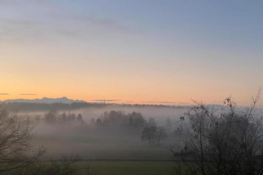 Am Bodensee - foto 19