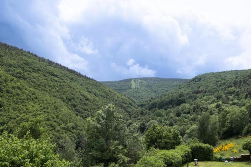 Gîte Location de vacances à lozeret - foto 25