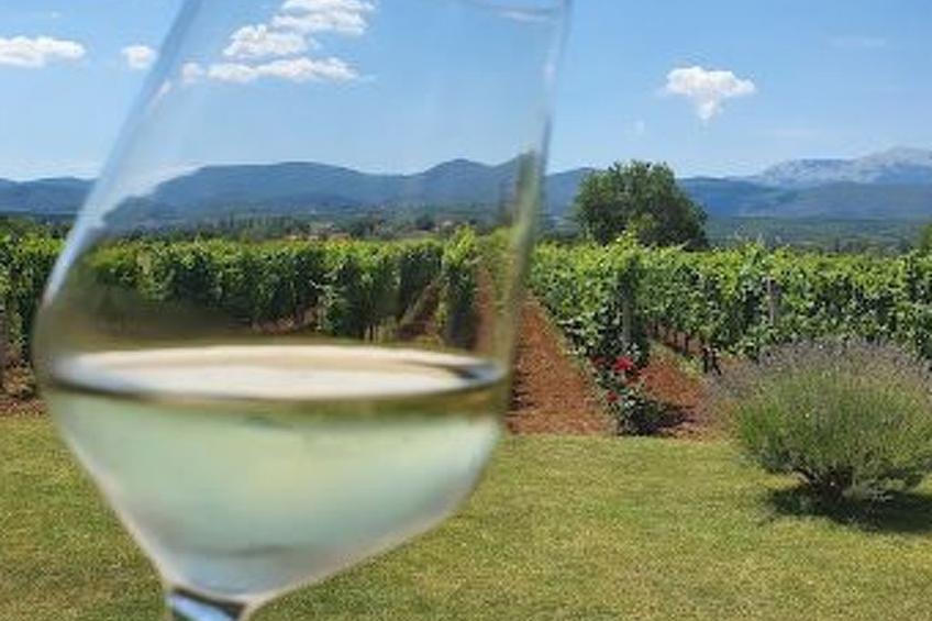 Green Paradise mit Pool - foto 46