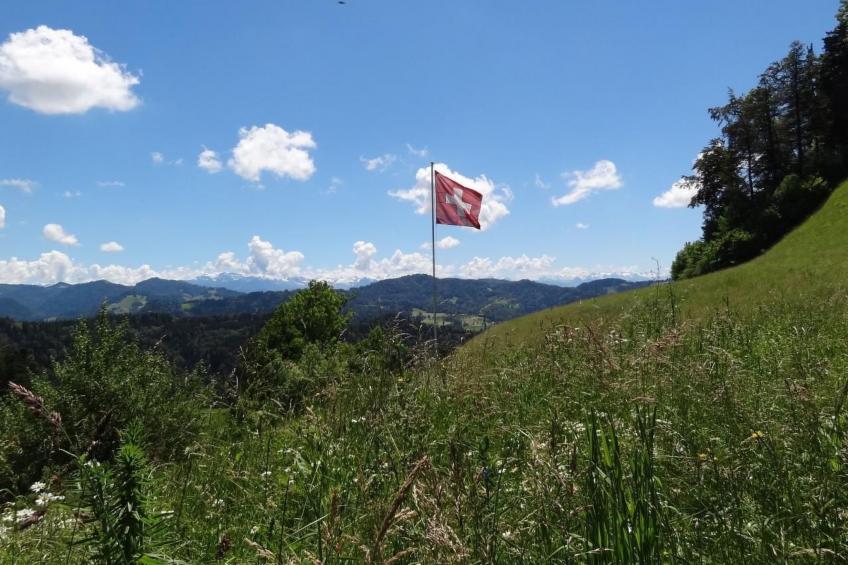 Haus am Sternsberg - foto 11