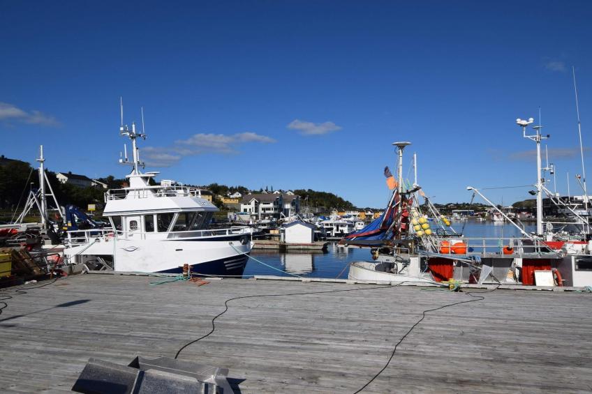 ÅRFJOR - foto 10