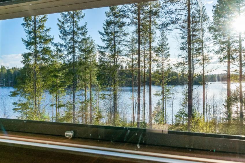 Järven idylli - foto 16