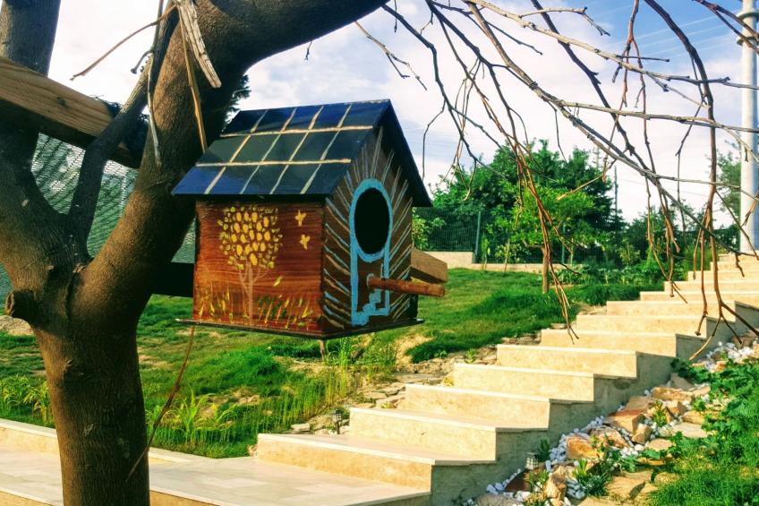 Berghütte mit eigenem Pool - foto 21