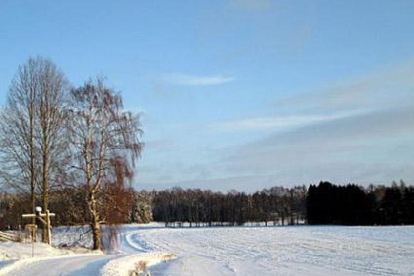 Villa vuorikotka - foto 24