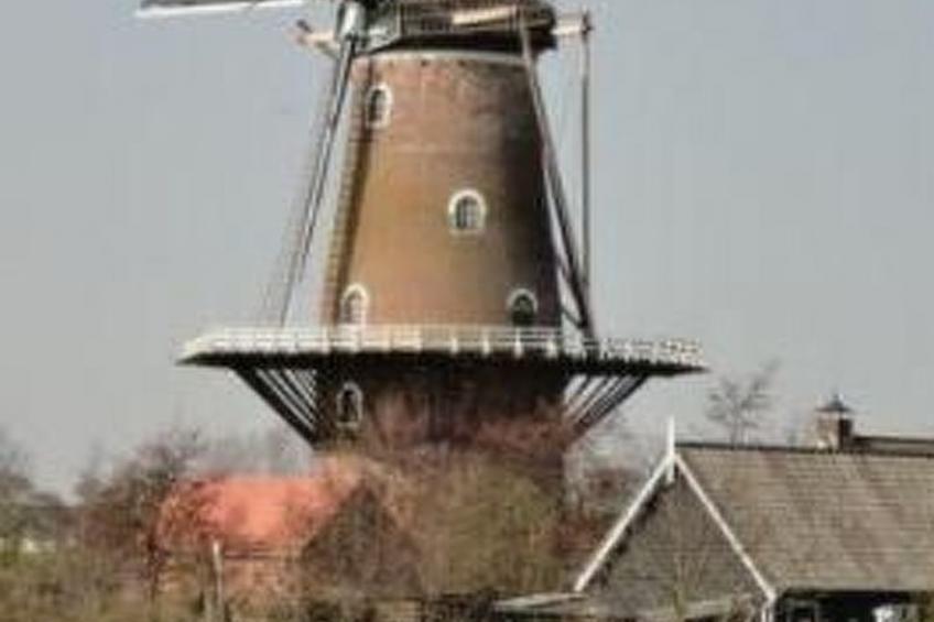 Wohnung met terras - foto 27