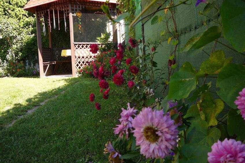 Vakantiewoning met WLAN , rustig gelegen - VW-BMP7T - foto 3